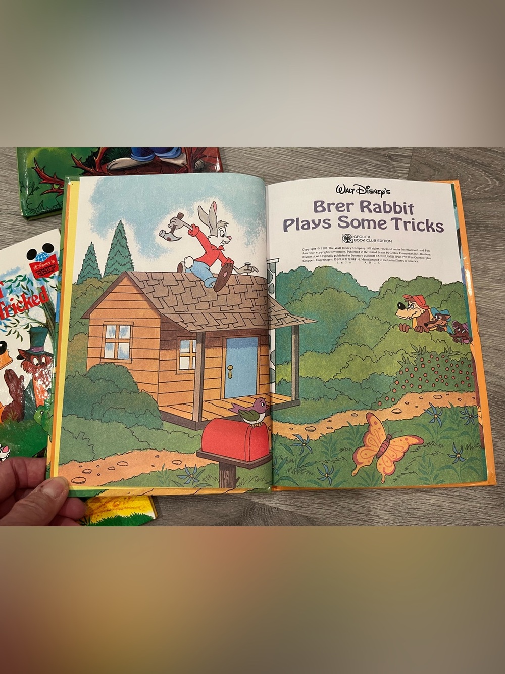 Disney Brer Rabbit Books - Picture 8 of 9